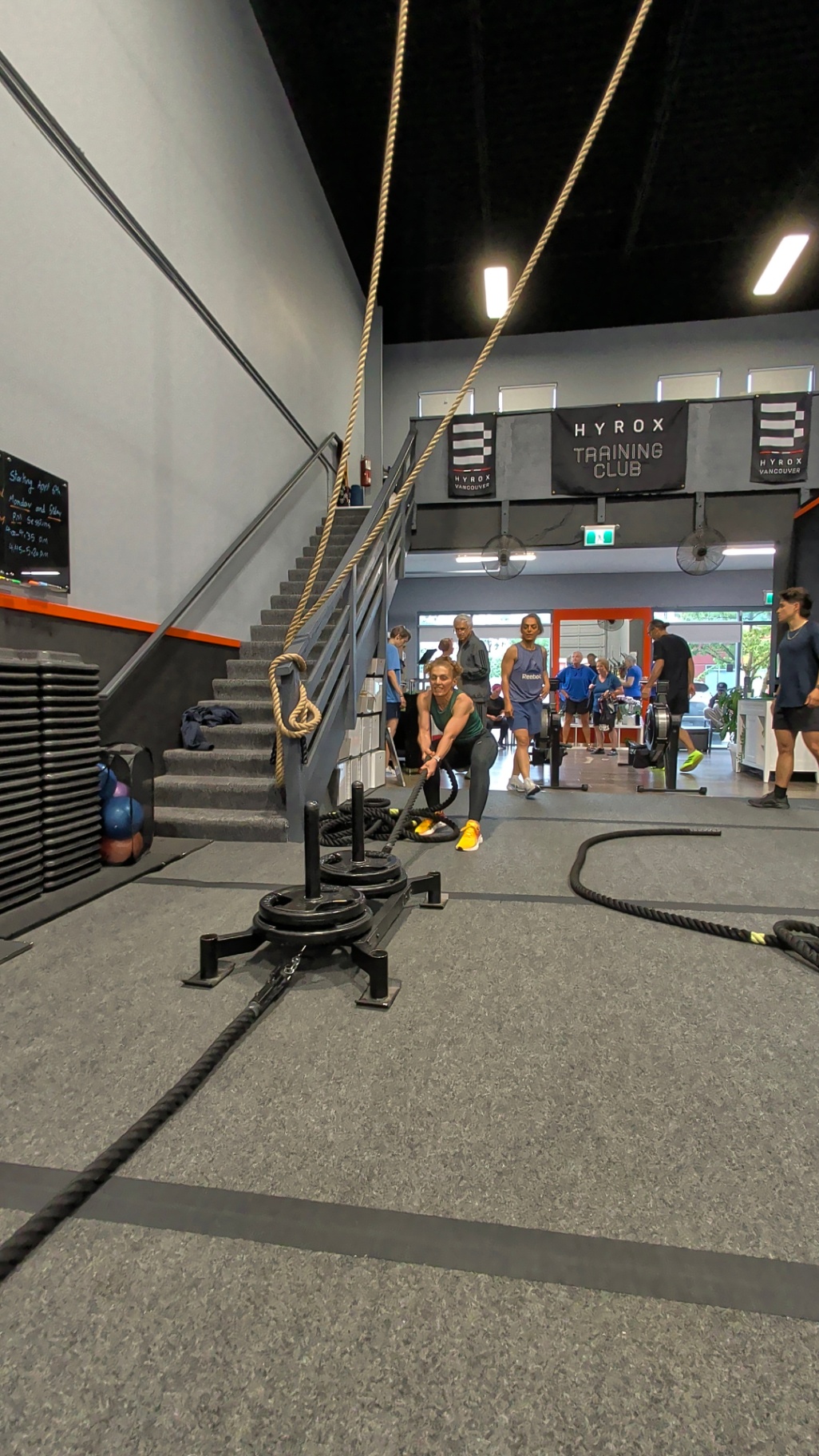 Sled rope pull